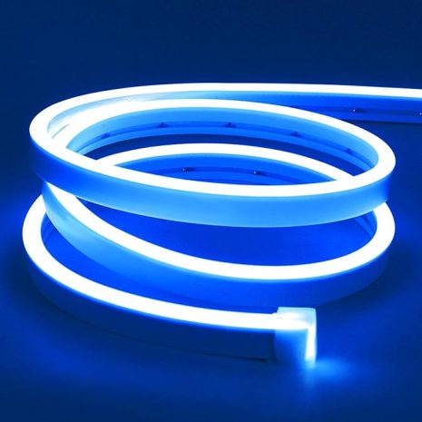 LED Neon Lights for Bedroom Indoor Outdoor Decoration blue