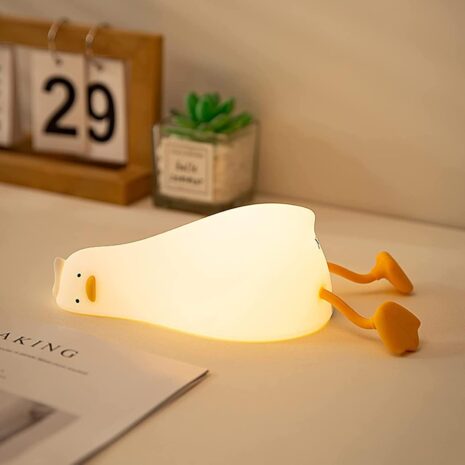 Rechargeable Touch Lamp Adorable Portable Lighting 1